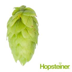 T90 Tradition Hop Pellets - 250 g