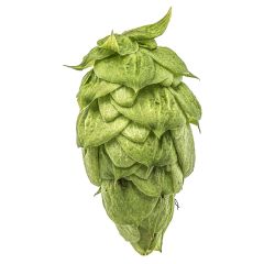 T90 Nugget Hop Pellets - 1 kg