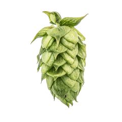 T90 HBC 682 Hop Pellets - 100 g