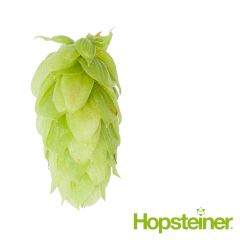 T90 Spalt Spalter Hop Pellets - 1 kg