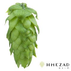 T90 Styrian Fox Hop Pellets - 5 kg