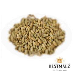 Best Rye Malt - 25 kg