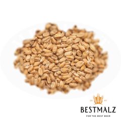 Best Wheat Malt - 25 kg