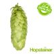T90 Akoya (Hallertau) Organic Hop Pellets - 5 kg