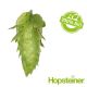 T90 Cascade Organic Hop Pellets - 5 kg