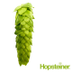 T90 Alora™ Hop Pellets - 5 kg