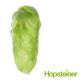 T90 Callista Hop Pellets - 5 kg
