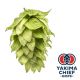 Yakima Chief Hops® Chinook Hop Cones - 5 kg