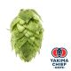 Yakima Chief Hops® Cryo Hops® pellets Columbus - 5 kg