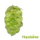 T90 Eureka!™ Hop Pellets - 250 g	
