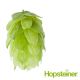 T90 Hersbrucker Hop Pellets - 1 kg