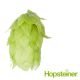 T90 Smaragd (Hallertau) Hop Pellets - 5 kg