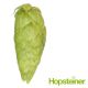 T90 Sultana™ Hop Pellets - 5 kg