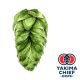 Yakima Chief Hops® T90 Talus® Hop Pellets - 5 kg