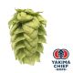 Yakima Chief Hops® T90  Willamette Hop Pellets - 5 kg