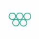 BT 5 o-rings 16x2 mm for central pipe