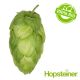 T90 Solero Organic Hop Pellets - 5 kg