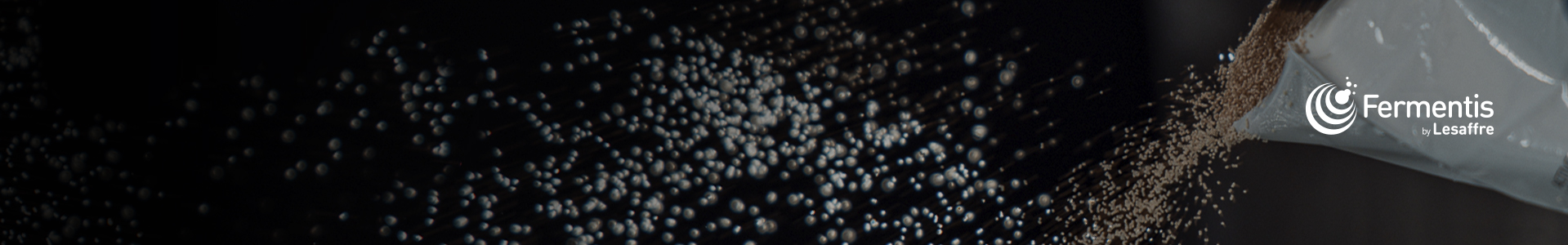 Levures sèches Fermentis