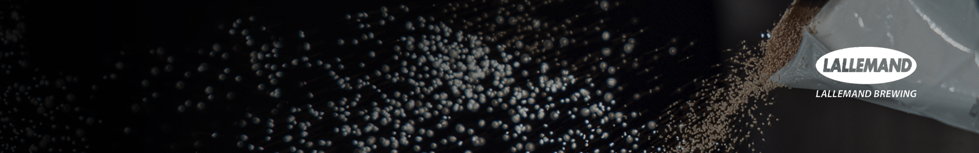 Levures sèches Lallemand