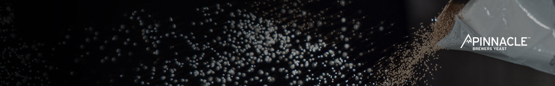 Levures sèches Pinnacle