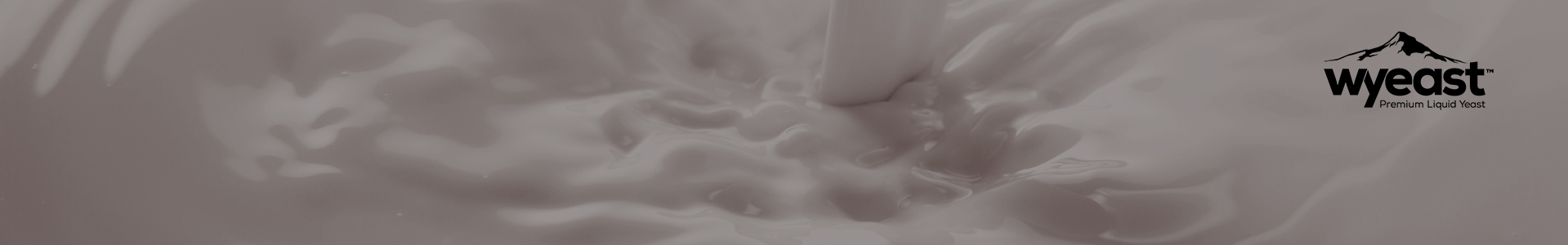 Liquides Wyeast