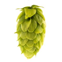 Hopfen Rottenburg - 5 kg Pellets T90