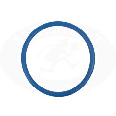 Guarnizione per raccordo food dn 100