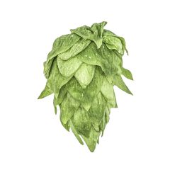 Hopfen Krush® - 100 g Pellets T90