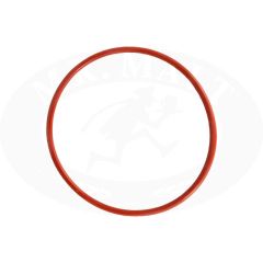 Blichmann joint torique pour pompe RipTide