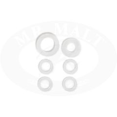 Grainfather G30 joints de rechange