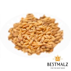 Malt Best Beechwood Smoked - 25 kg