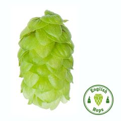 Houblon Bramling Cross - 100 g en granulés T90
