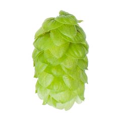 Houblon Bramling Cross - 5 kg en granulés T90