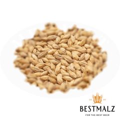 Malt Best Heidelberg Pilsen - 25 kg