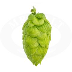 Hopfen Tango - 1 kg Pellets T90