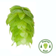 Houblon East Kent Golding - 100 g en granulés T90