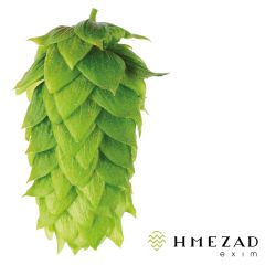 Houblon Aurora (Super Styrian) - 1 kg en granulés T90