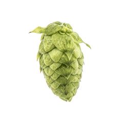 Bravo™ houblon - 250 g en granulés T90