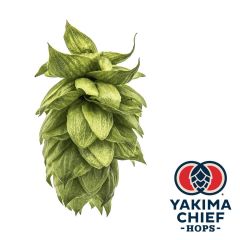 Hopfen Yakima Chief Hops® Cashmere - 5 kg Pellets T90