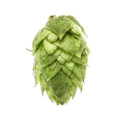 Houblon Columbus - 1 kg en granulés T90