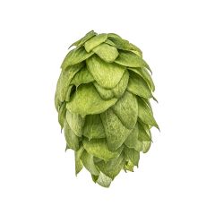 Houblon cristallin - 1 kg en granulés T90
