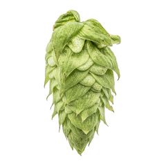 Houblon El Dorado® - 1 kg en granulés T90