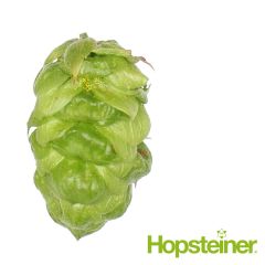 Houblon Eureka!™ - 100 g en granulés T90