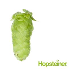 Hopfen Mandarina Bavaria - 250 g Pellets T90