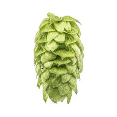 Cryo Hops® granulés Mosaic® - 50 g