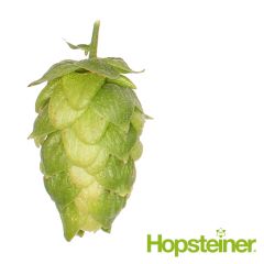 Hopfen Northern Brewer - 100 g Pellets T90