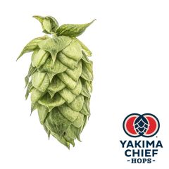 Houblon Yakima Chief Hops® HBC 682 - 5 kg en granulés T90