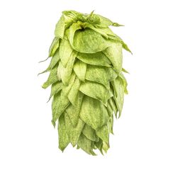 Hopfen Palisade® - 1 kg Pellets T90