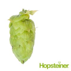 Hopfen Polaris - 250 g T90-Pellets T90