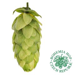 Hopfen Premiant - 1 kg Pellets T90